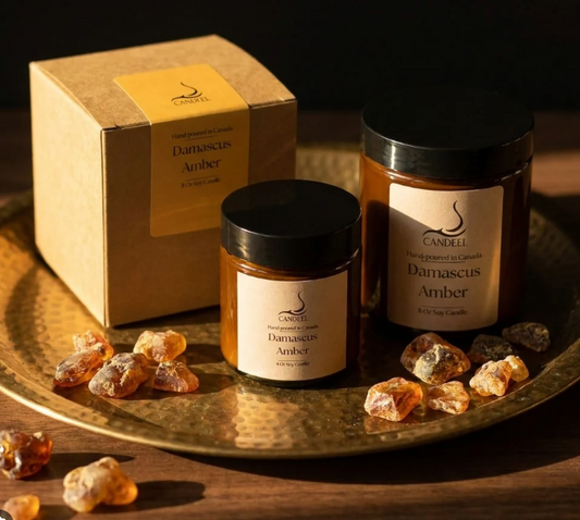 Amber Dynasty